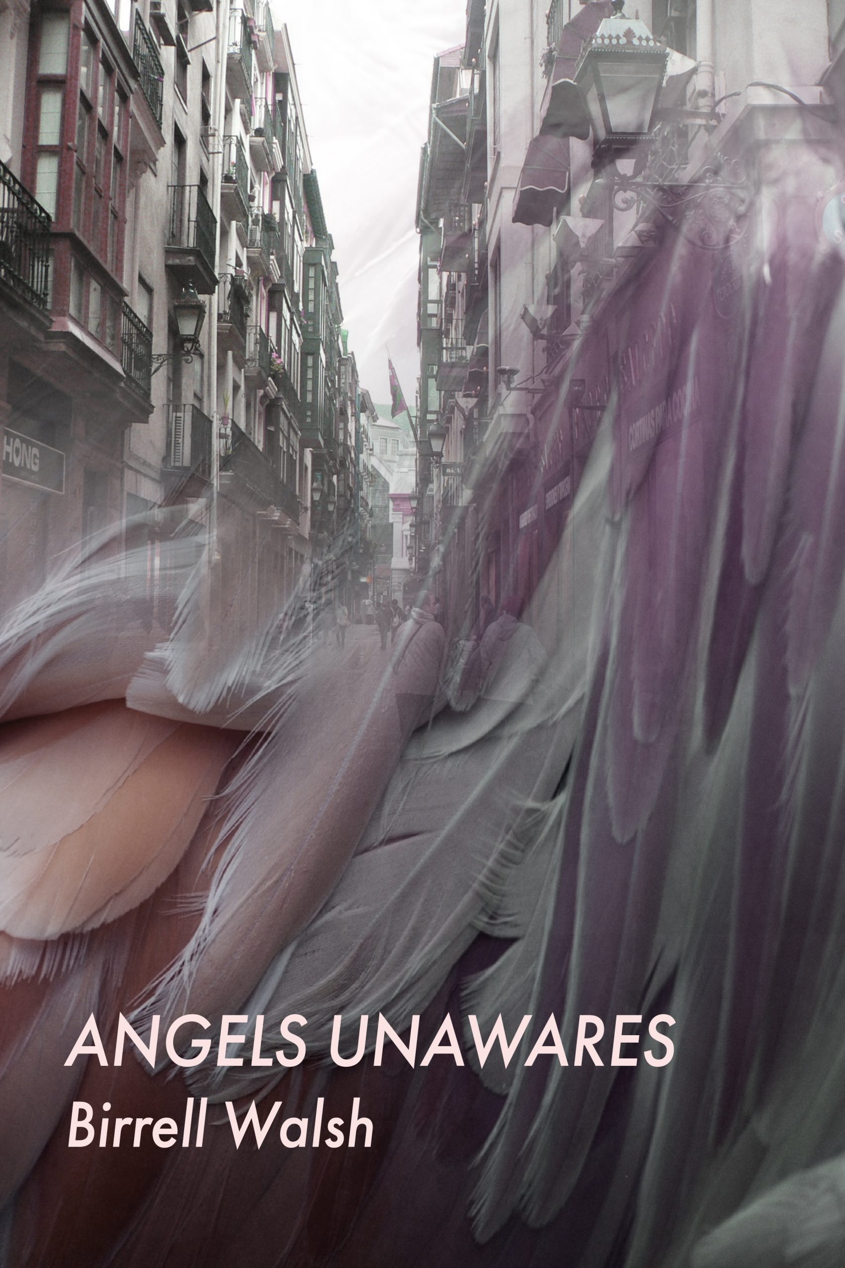 Front Cover for Angels Unawares