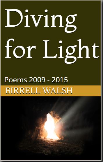 Cover of book Diving For Light